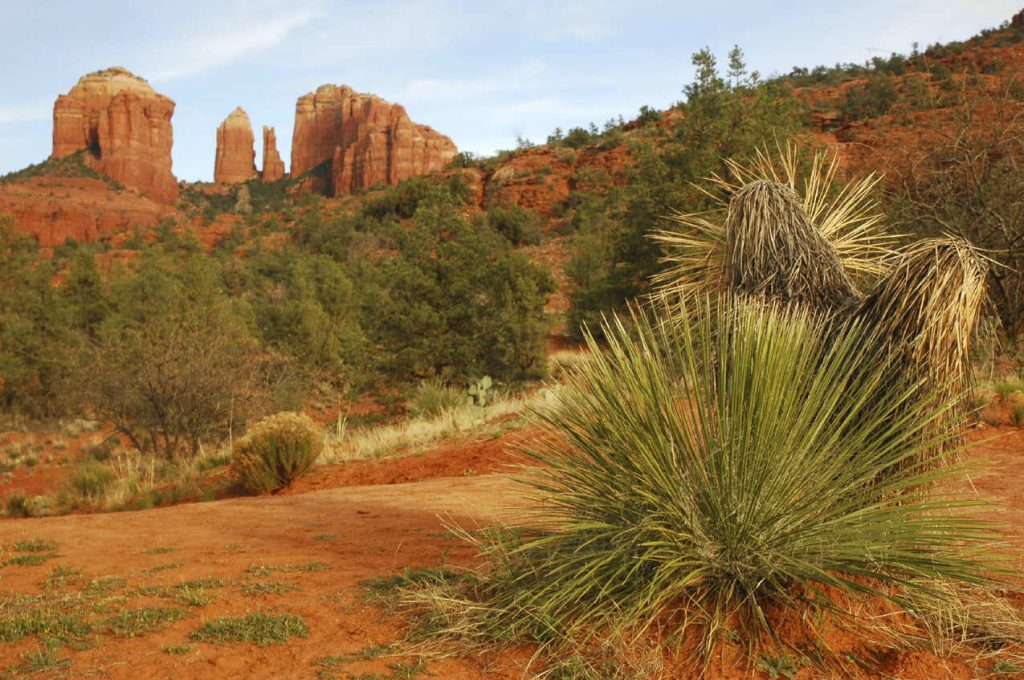 Sedona, Arizona ©karimal, iStock_000003242120_Medium SEDONA©Karimala