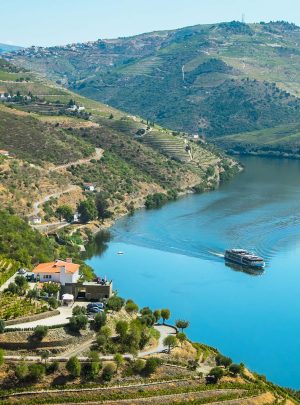 Portugal,-vallée-du-Douro-©Brunomili