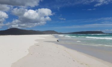 AFRIQUE DU SUD