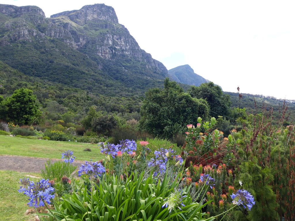 AFRIQUE DU SUD