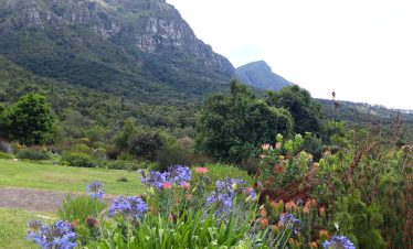 AFRIQUE DU SUD