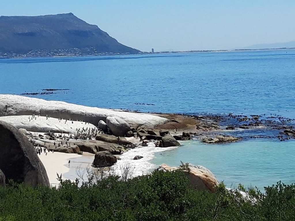 AFRIQUE DU SUD