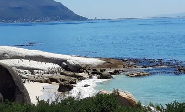 AFRIQUE DU SUD