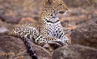 AFRIQUE DU SUD