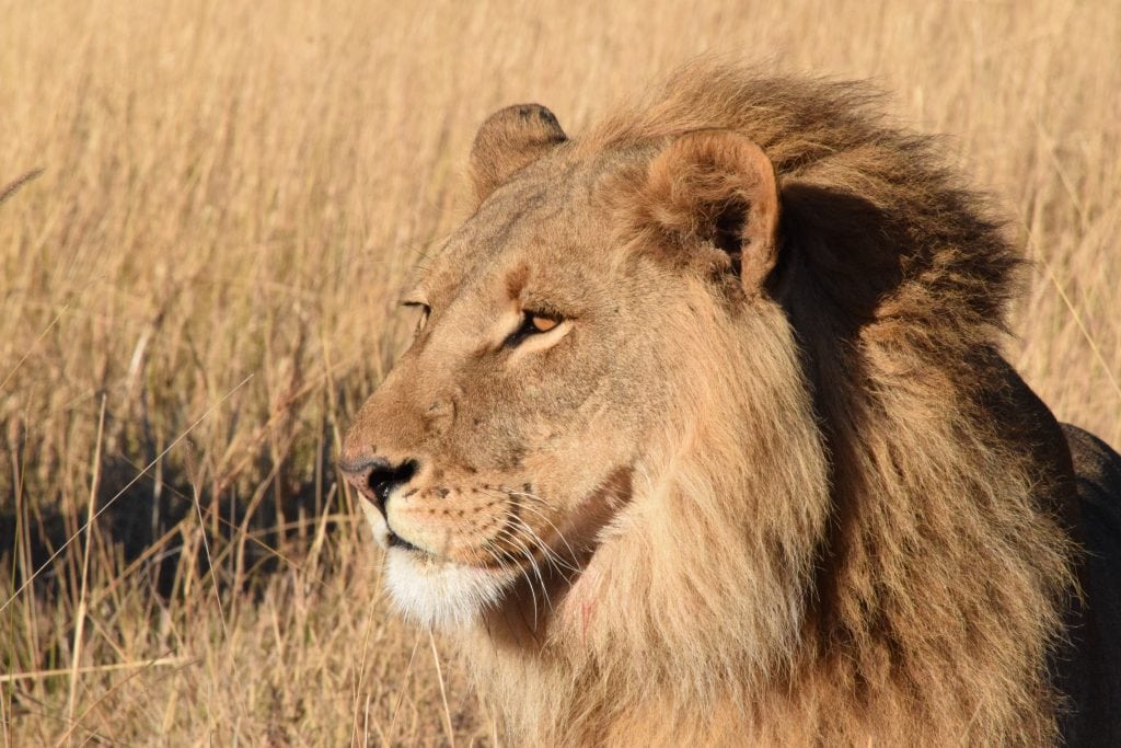 Botswana