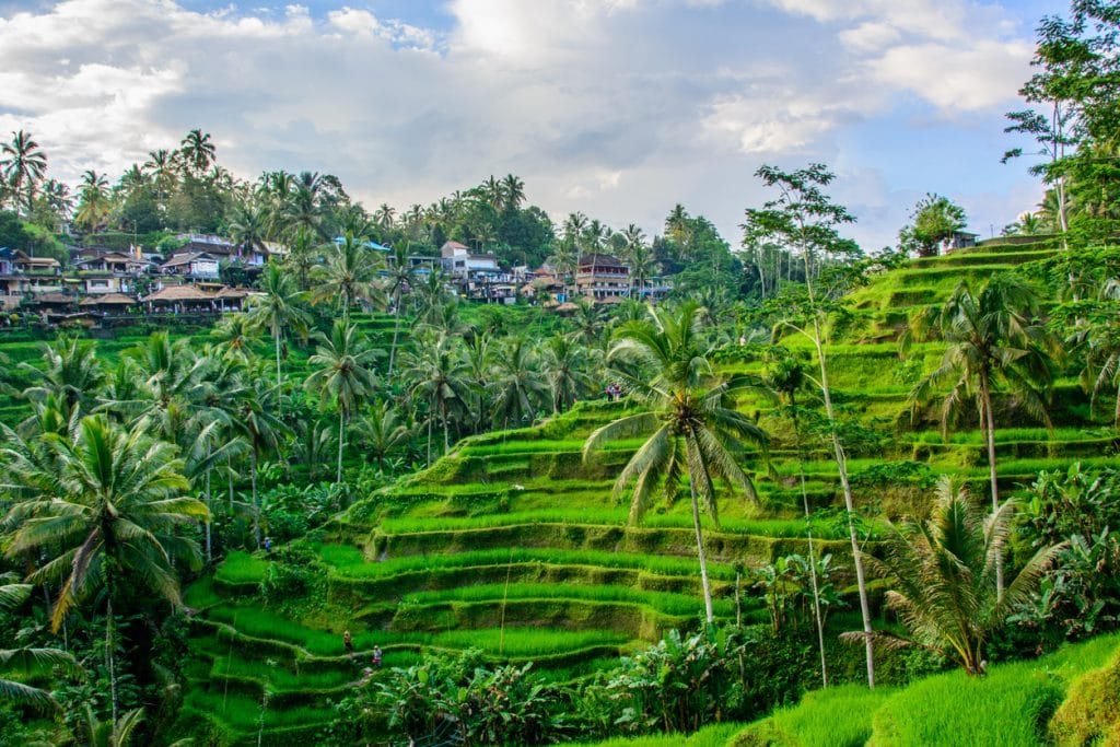 INDONESIE BALI