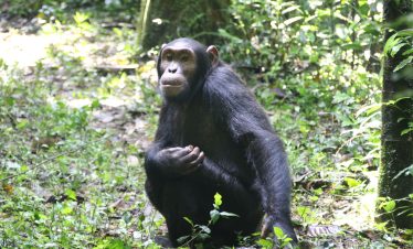 OUGANDA