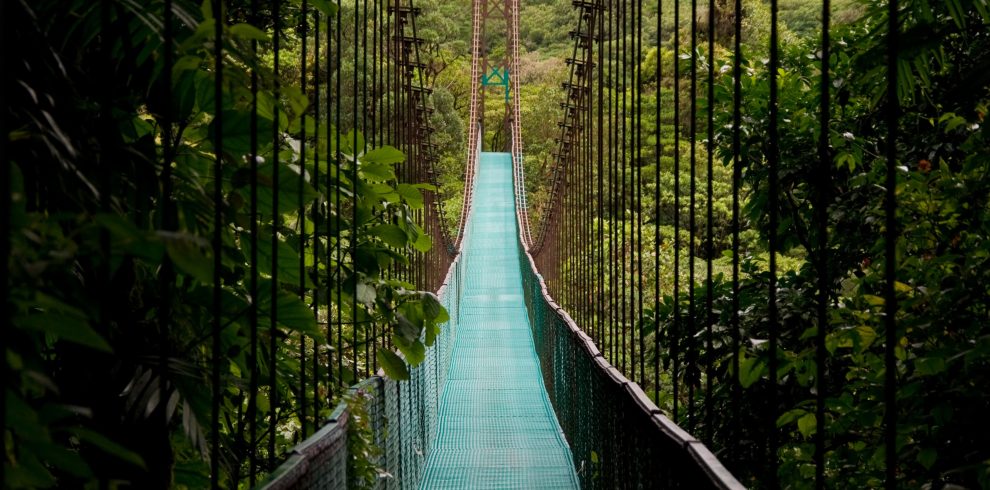 Costa-Rica-pont-suspendu-©-traveler