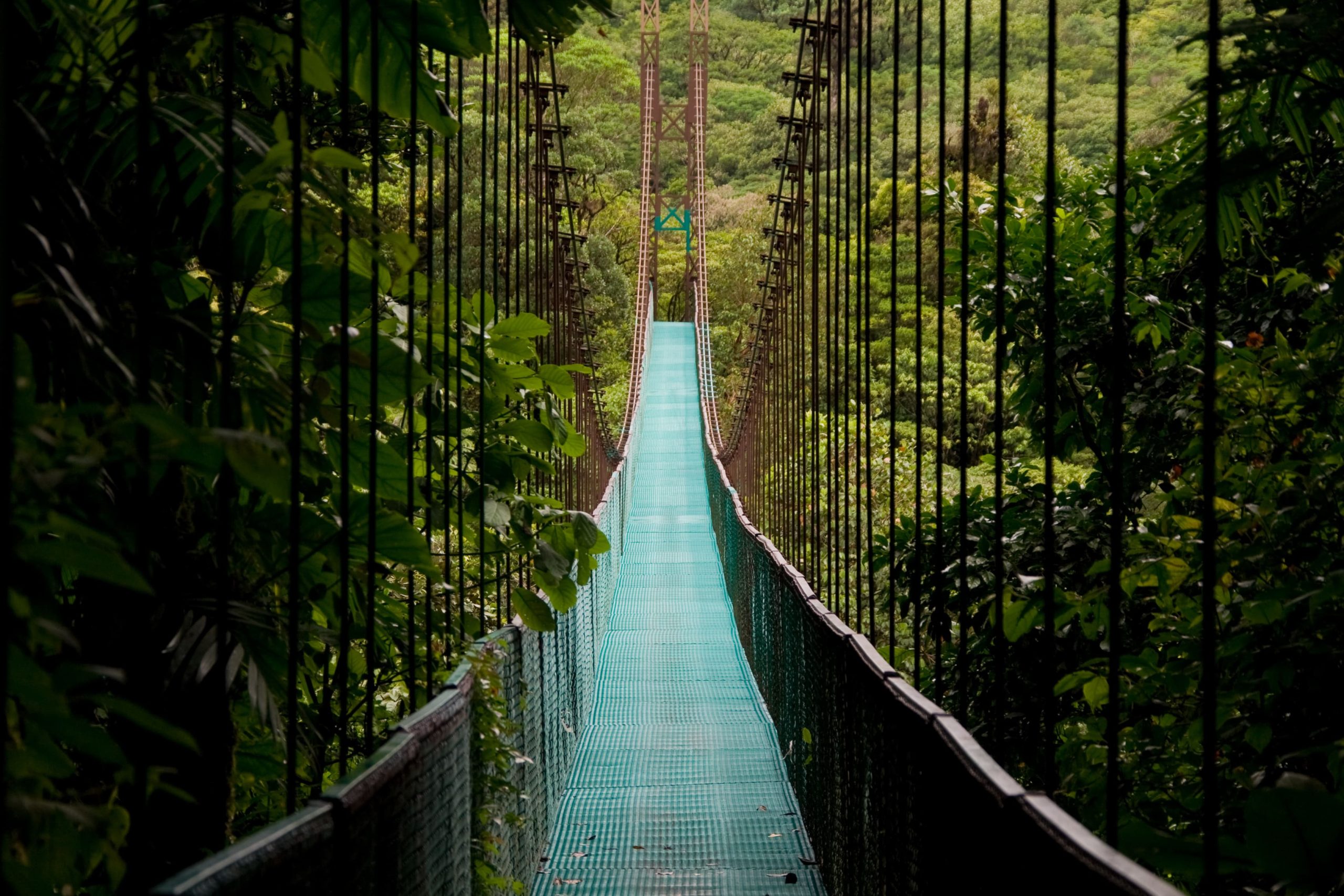 Costa-Rica-pont-suspendu-©-traveler