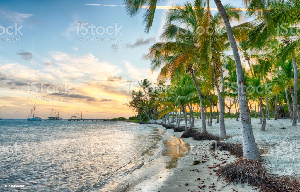 Anse champagne - test