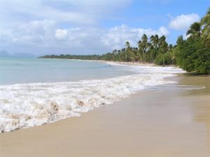 Martinique, La plage des Salines.