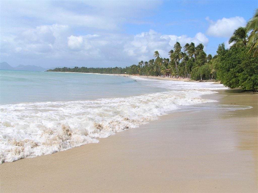Martinique, La plage des Salines. Expert Travel ©Pascale