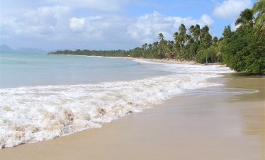 Martinique, La plage des Salines. Expert Travel ©Pascale