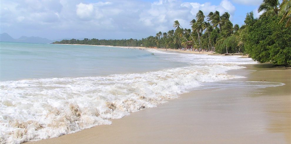 Martinique, La plage des Salines. Expert Travel ©Pascale