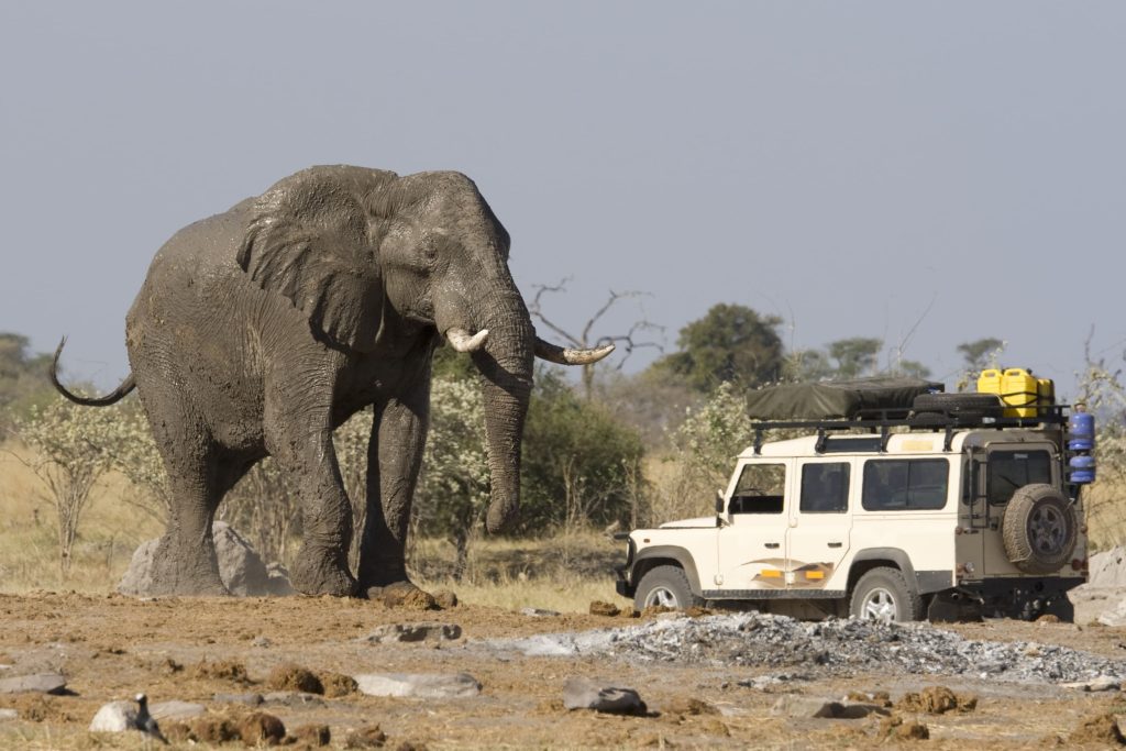 BOTSWANA-ZIMBABWE