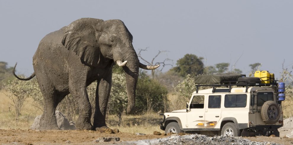 BOTSWANA-ZIMBABWE