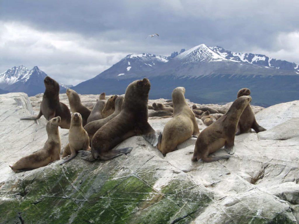 ARGENTINE USHUAIA