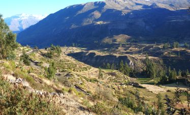 Pérou, Canon de Colca ©Deborah M