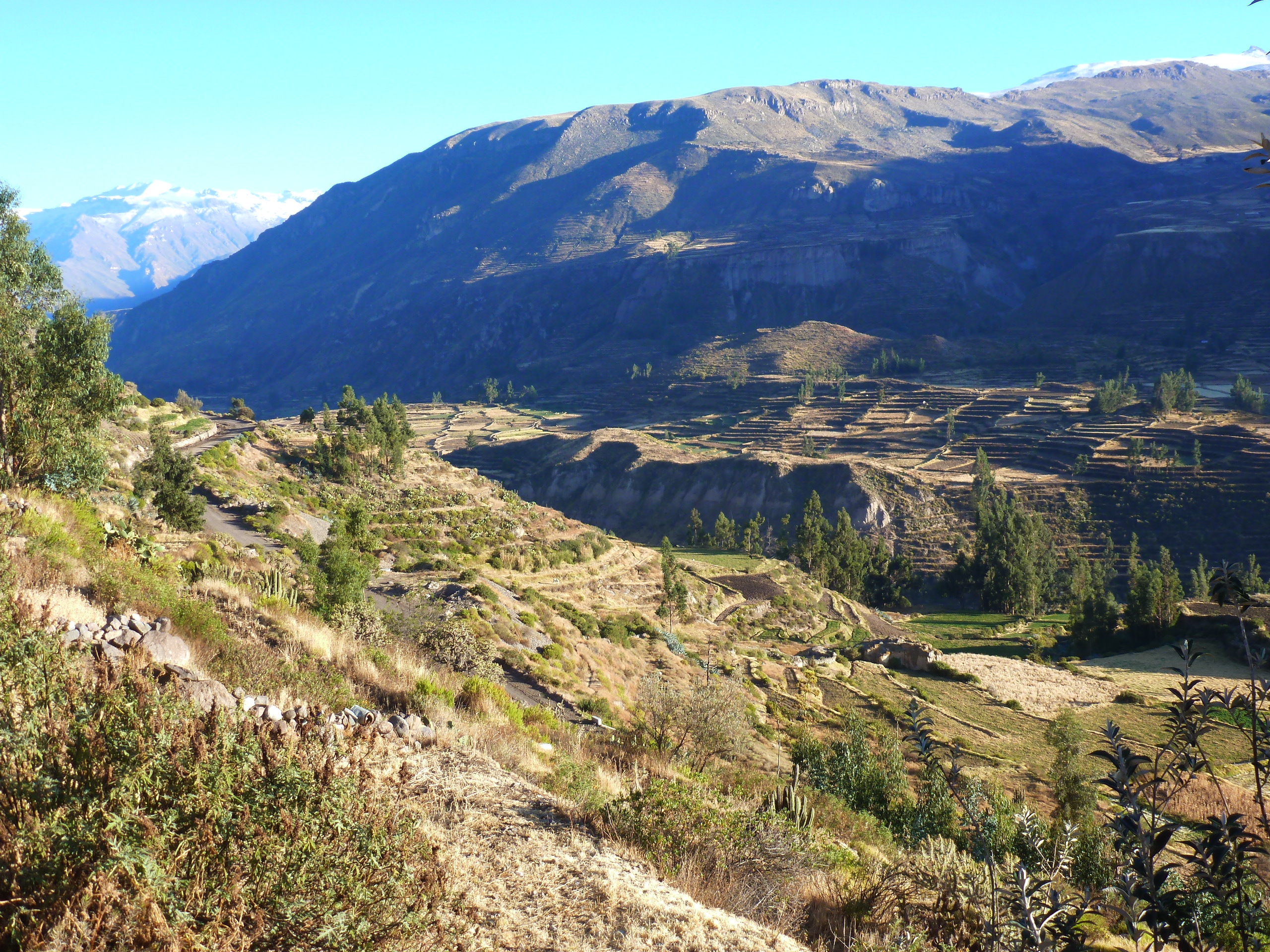 Pérou, Canon de Colca ©Deborah M