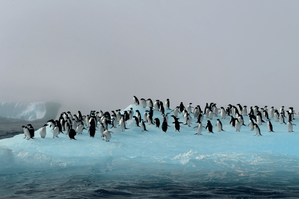 ©Studio PONANT/Nathalie Michel