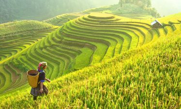 VIETNAM