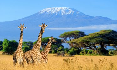 KENYA