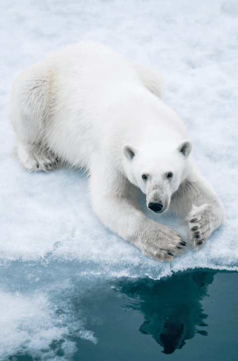 ©StudioPONANT/Morgane Monneret