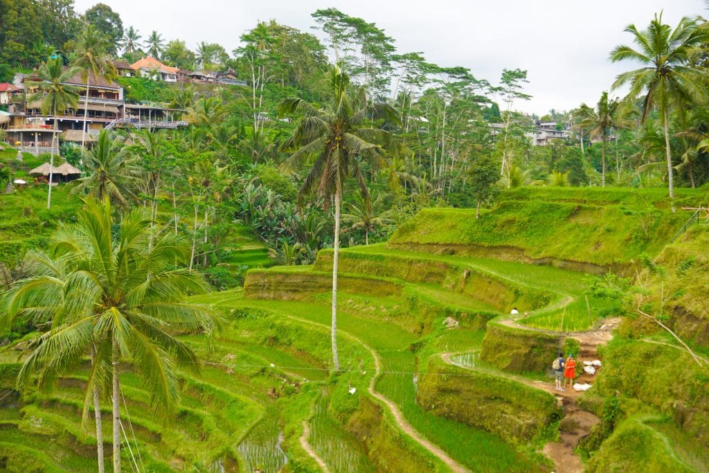 Bali