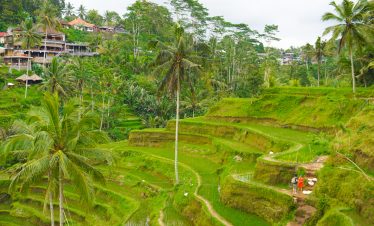 Bali
