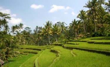 Indonesie
