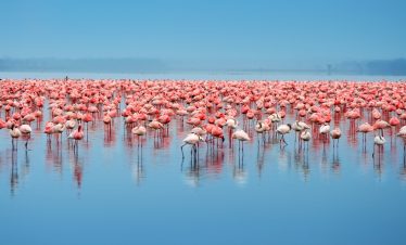 KENYA