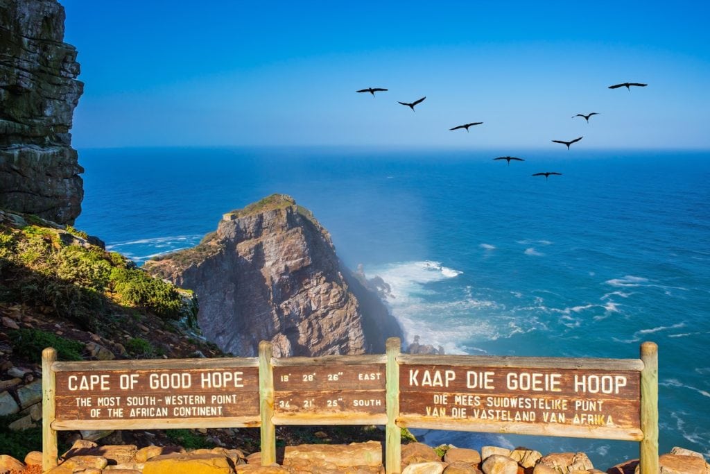 Flock of birds over the raging surf