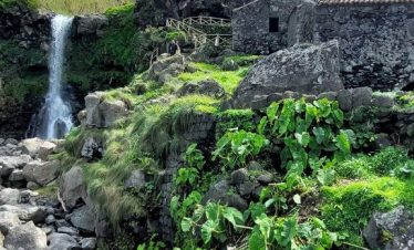 Acores