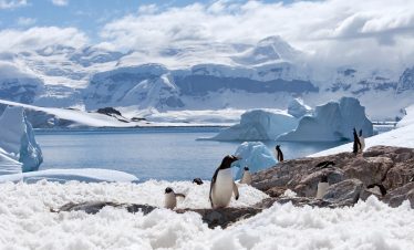 ©Photodynamic-iStock-91657948-scaled.jpg